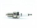 Z.AGR-0002_C.jpg