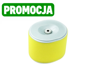 Filtr powietrza do GX 340/390 CZAGR-0042