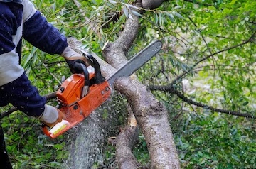 What's the Use of a Gasoline Chainsaw?