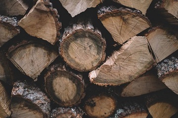 The Comprehensive Art of Wood Seasoning: Preparing Timber for Use