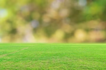 Last lawn mowing of the season - tips