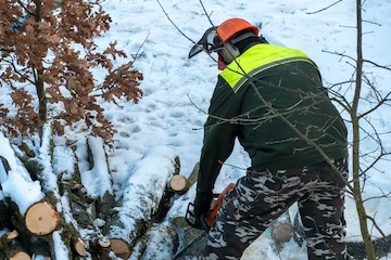 Working with a Chainsaw in Winter - Practical Tips
