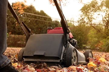 Early Autumn Lawn Care